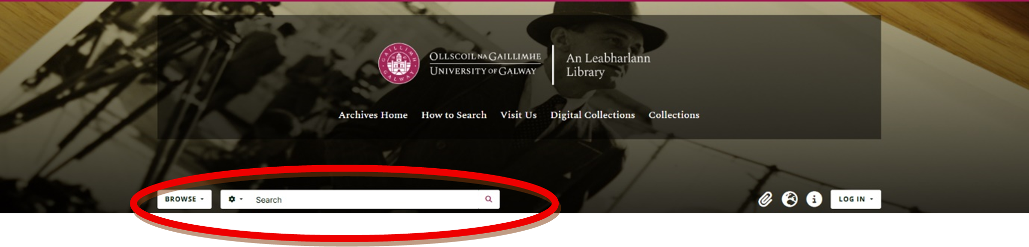 Screenshot showing the search box on the catalogue homepage