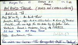 An Aird Thoir (Aird an Chaisleáin)