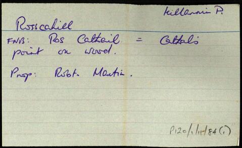 Open original Digital object