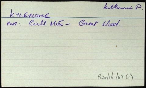 Open original Digital object