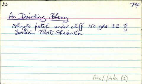 Open original Digital object