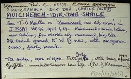 Muiceaneach Idir Dhá Sháile