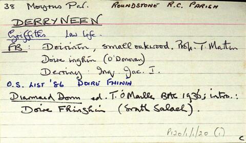 Open original Digital object