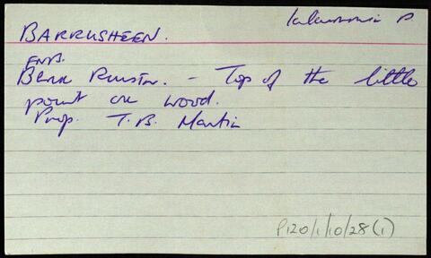 Open original Digital object